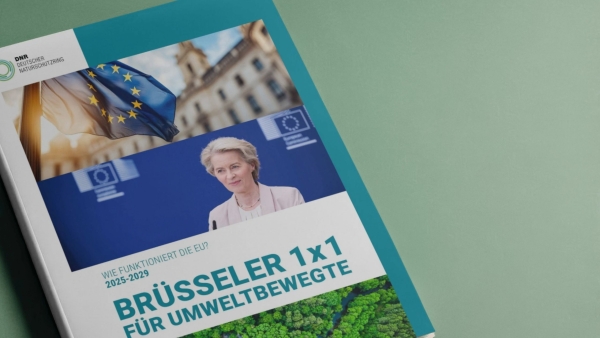 Broschüre "Brüsseler 1x1" auf einem grünen Hintergrund liegend
